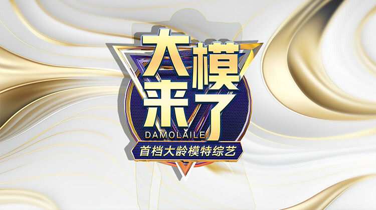 大模来了 第20251128期